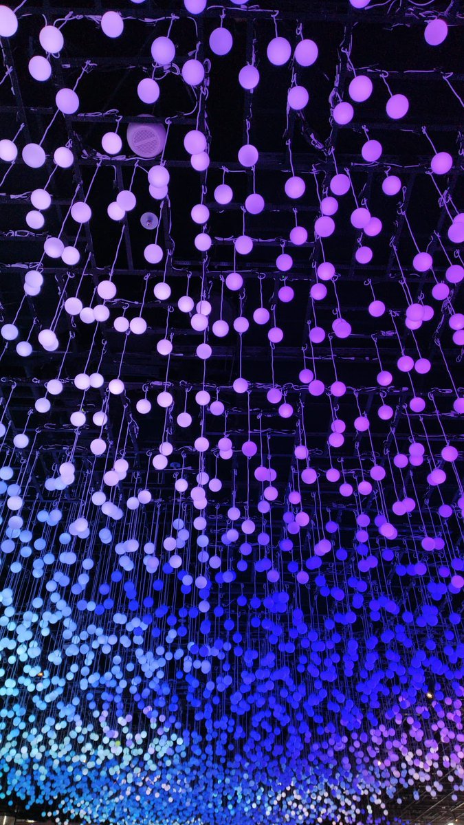 Sneak peek for tonight’s Banquet Dinner! 🥙

#APCRS2023 #CoralReefs #Singapore