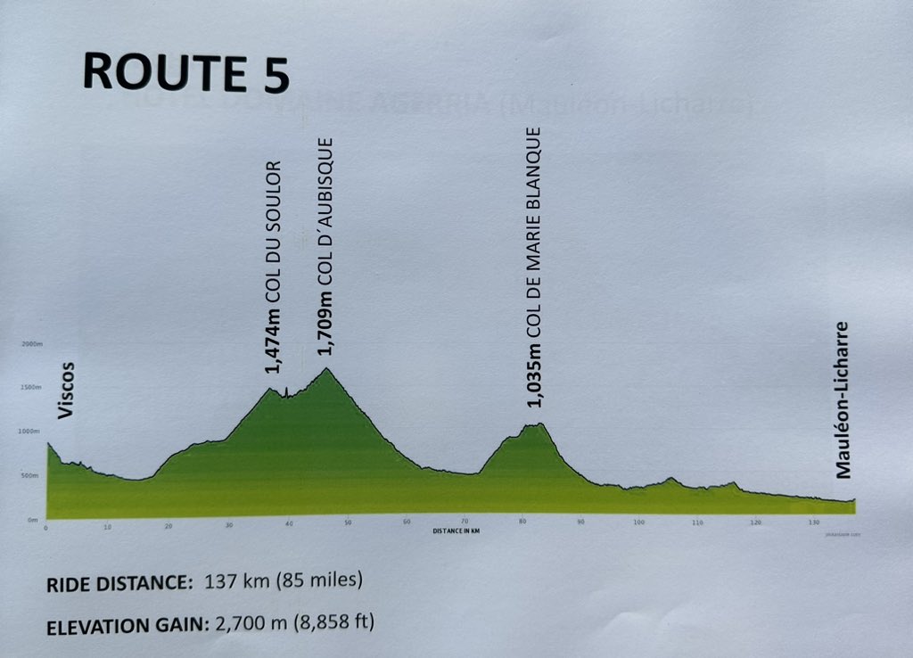 Dom Spalding tweet media