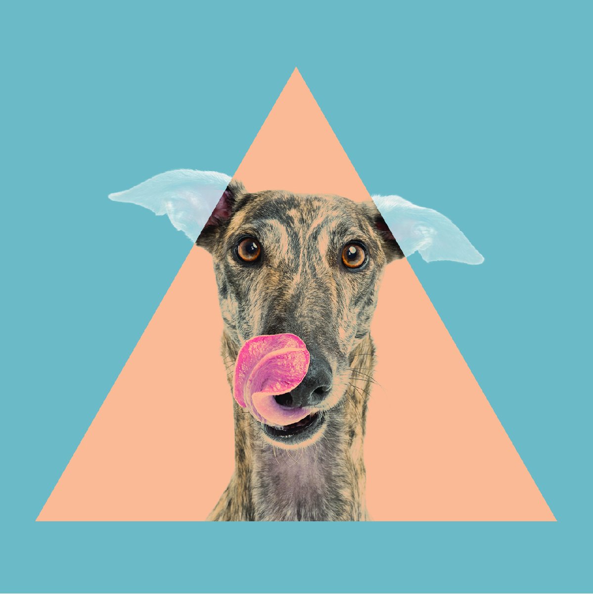 buggybix's tweet photo. Your dog is going to love our new range! Healthy, natural and 100% Australian, we have blended the goodness of insects &amp; real food into a delicious &amp; sustainable treat. The anticipation is almost over…
#buggybix #insectdogtreats #insectbasedpetfood #greatforpetsgreatfortheplanet https://t.co/ZcY7qiwi2I