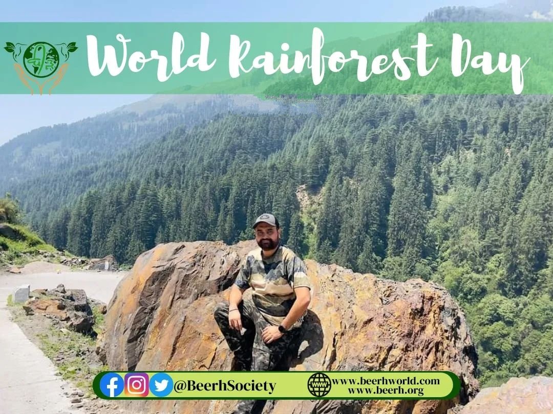 BeerhSociety's tweet photo. #Rainforests  play a crucial role in both climate regulation and carbon absorption and storage. By cycling water through their networks of trees, they create currents that serve to transport water through entire continents. #WorldRainforestDay https://t.co/43RzrsYByd