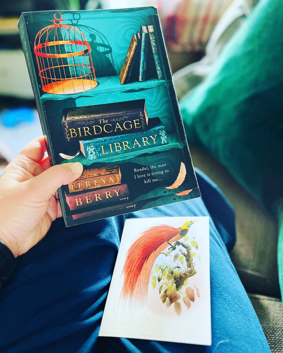 Out today is #TheBirdcageLibrary by @FreyaBBooks @headlinepg and is @Squadpod3 June bookclub read.

And what a book this is! Enticing, enthralling and addictive - I couldn’t put it down!

Full review over on insta ⬇️⬇️⬇️

instagram.com/p/CtyE2m1I_WM/…

#SquadpodReviews #BookTwitter