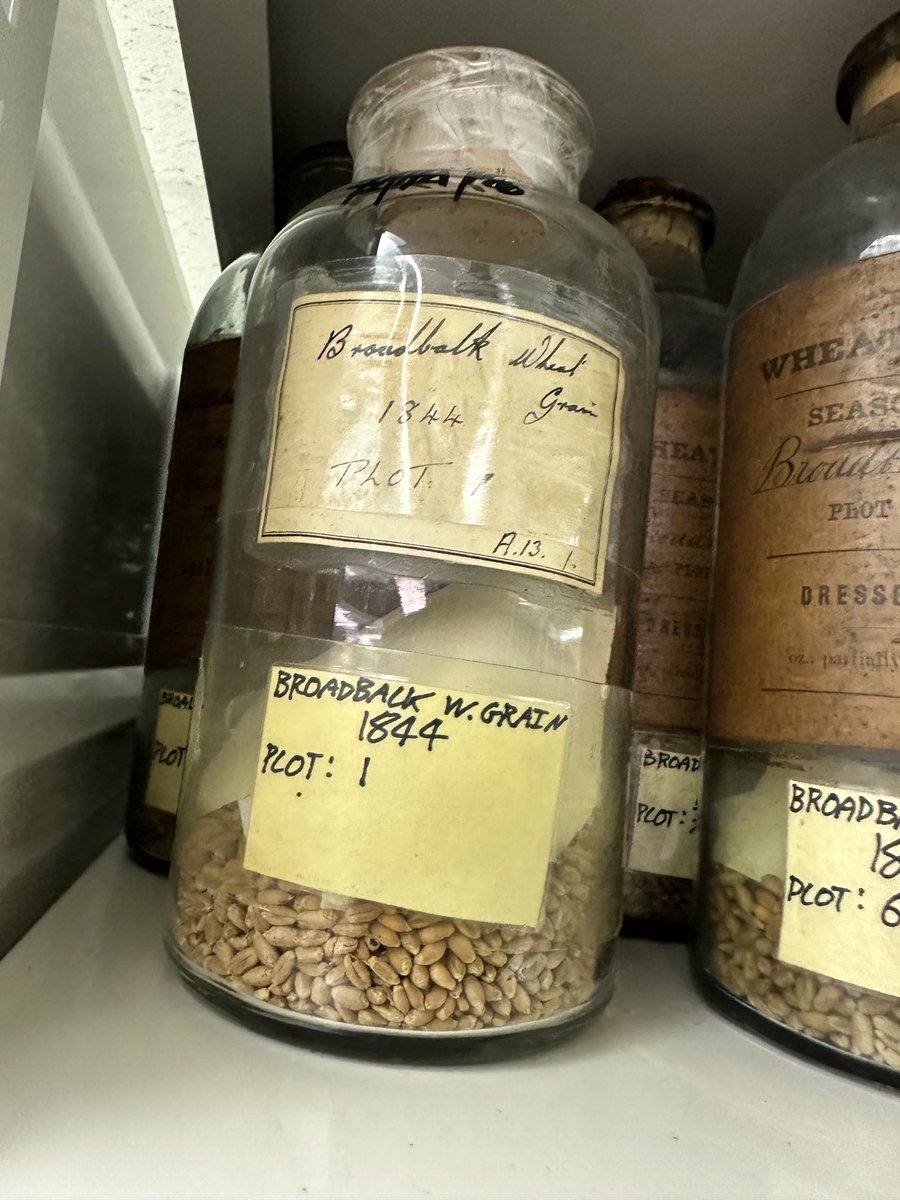 John Kirkegaard tweet media