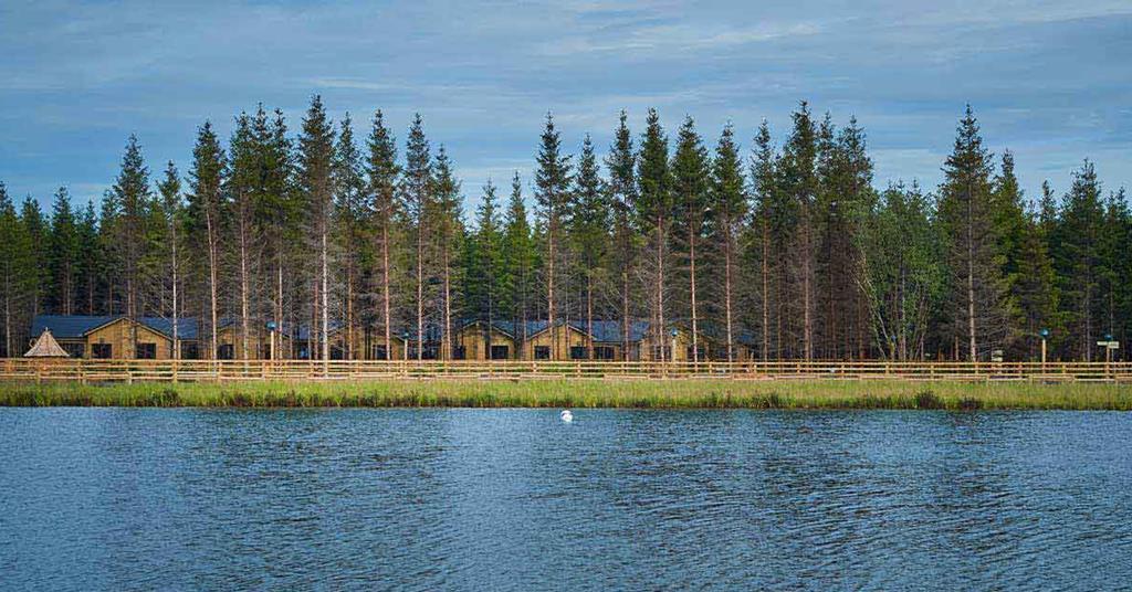 Lightwork Enterprise tweet media