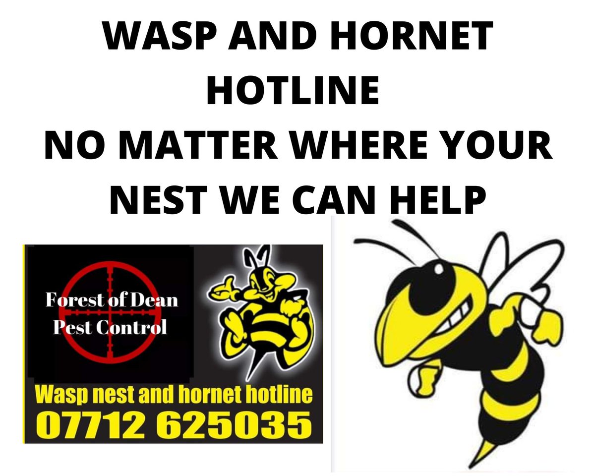 'Don't get stung on price this year! Trust Forest of Dean Pest Control for your wasp nest removal needs. Say goodbye to those pesky wasps without breaking the bank. #pestcontrol #waspnestremoval #ForestofDean #dontstressaboutyourpests #pestfreehomes #PestPrevention