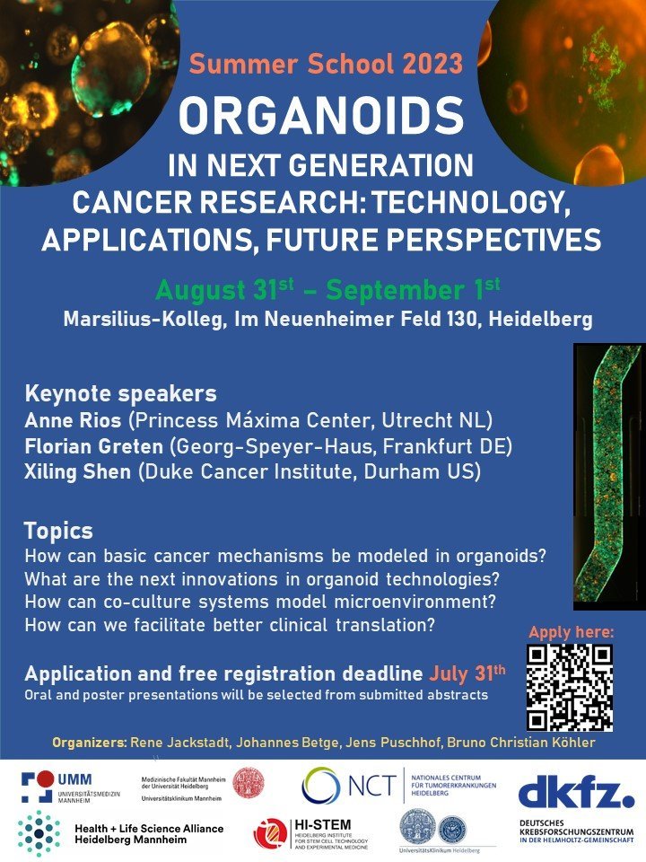 Excited to host the first #organoids in #cancer #summerschool @DKFZ @UM_Mannheim @UniHeidelberg @NCT_HD @hi_stem_lab with @jackstadt_lab, @drbetge and @koehlerlab. Keynotes from @Dream3DLab; Florian Greten and Xiling Shen! Details and registration at indico.dkfz.de/event/729/.