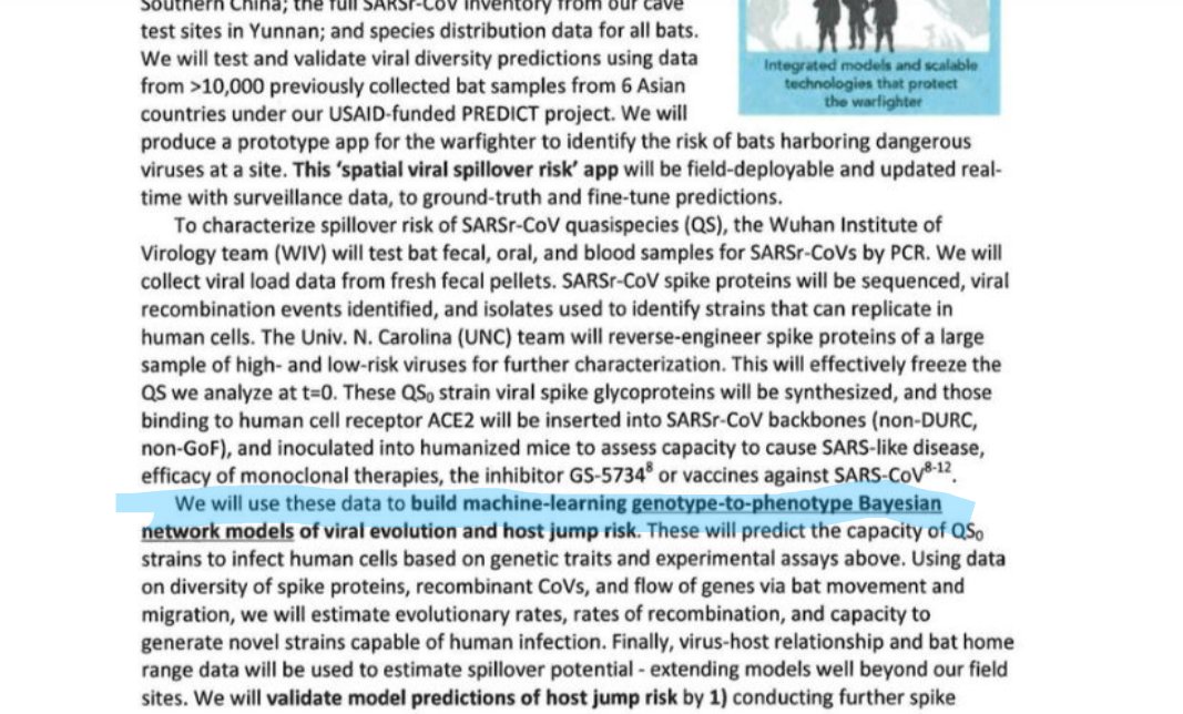 @jbkinney @VillanuevaPM @BiosafetyNow According to the DEFUSE proposal, ML was actually used in the design of SARS-2