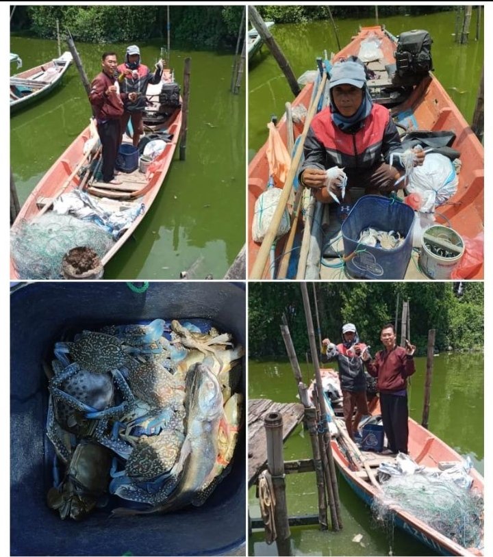 mjupri99's tweet photo. Kamis (22/6/23), M.jupri, luhkan Surabaya, KUB Bintang Samudra utama,morokrembangan, kec. Krembangan hasil tangkapan rajungan 2 kg.(Size 5-6) 65.000/kg. Kepiting 0,5 kg (Size 6-8) 60.000/kg,keting 0,5 kg/ 10.000/kg. 
#GiatLuhkanSatminkalBanyuwangi
#KotaSurabaya
#Luhlapor
#Tangkap https://t.co/pniqmt4RwS