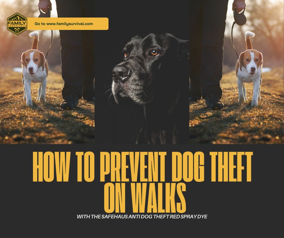 What would happen if that dog was stolen, never to be seen again? Could you prevent dog theft of this type?

familysurvival.com/how-to-prevent…

#DogTheftPrevention #SafeHausSprayDye #ProtectYourPets #DogSafetyTips #WalksWithPets #PetSecurity #AntiDogTheft
