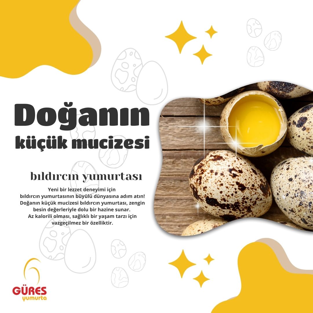 Doğanın küçücük bir mucizesi: Bıldırcın yumurtası

Yeni bir lezzet deneyimi için bıldırcın yumurtasının büyülü dünyasına adım atın!

#bıldırcınyumurtası #bıldırcın #GüresYumurta #bıldırcınyumurtasınınfaydaları #yumurtanınfaydaları #sağlık #sağlıklıbeslenme