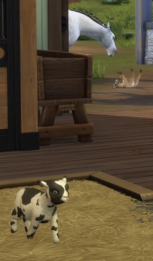 𝕭𝖚𝖓𝖓𝖎 🔪 tweet media