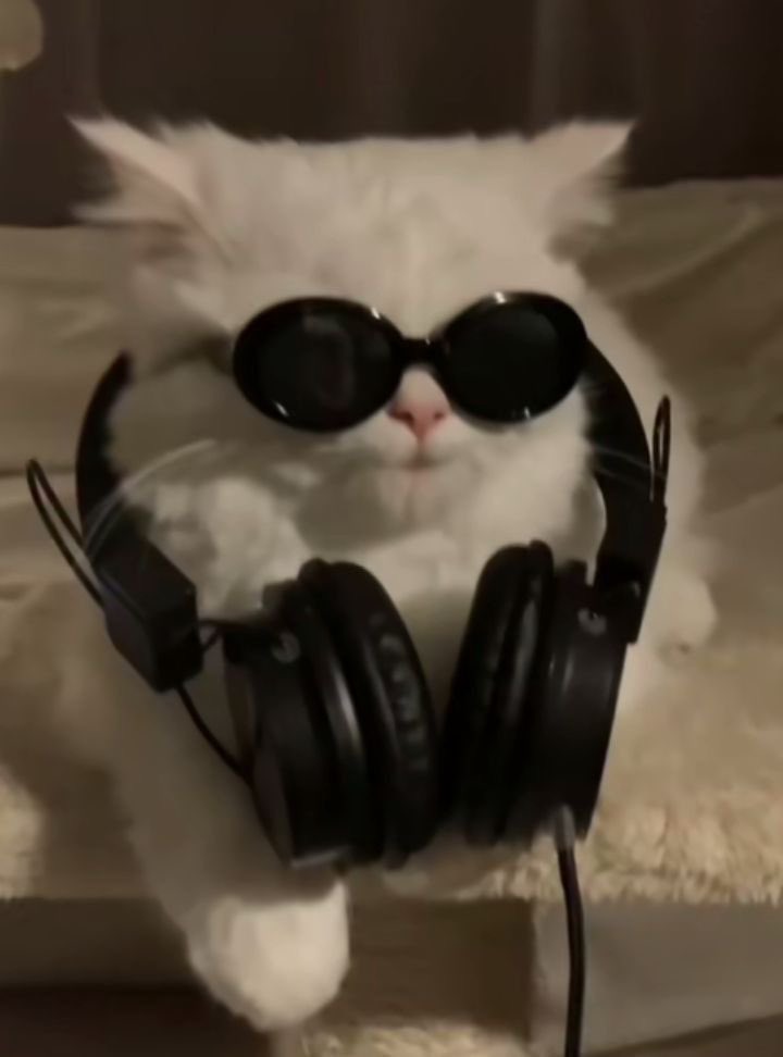 น้องแจมินเลี้ยงน้องลูน่า       แฮชานเลี้ยง