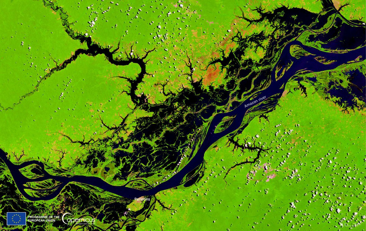 🟢#WorldRainforestDay🟢

#Rainforests play a major role in carbon sequestration &amp; climate change mitigation

They also contribute to cloud formation, precipitation, and hydrological cycles while preventing erosion

⬇️Amazon Rainforest fragment seen by #Copernicus #Sentinel2🇪🇺🛰️