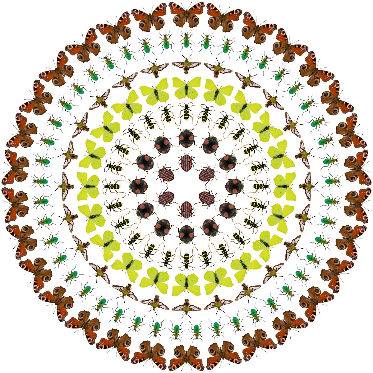 Thorben Danke tweet media