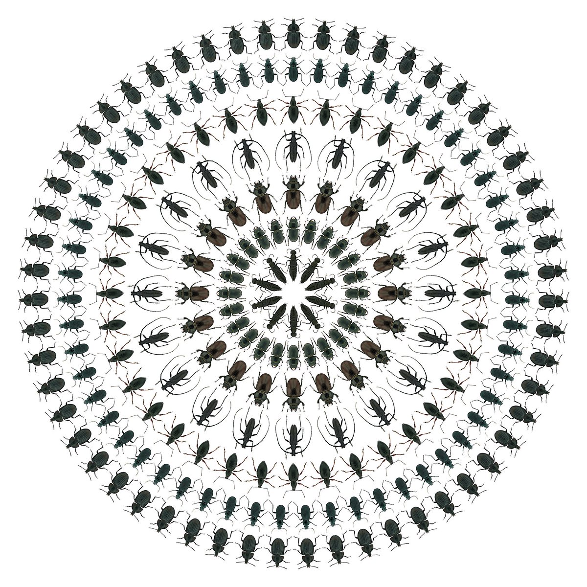 Thorben Danke tweet media