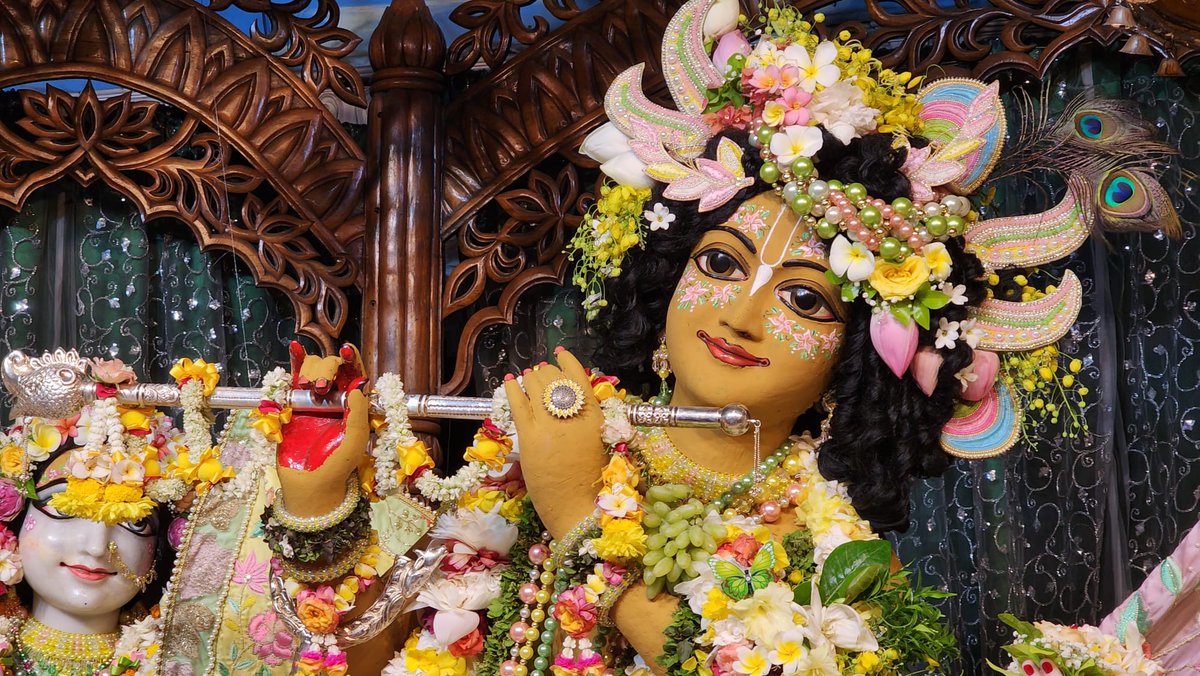 Lord Madhava 🥰 

#mayapur #chandanyatra