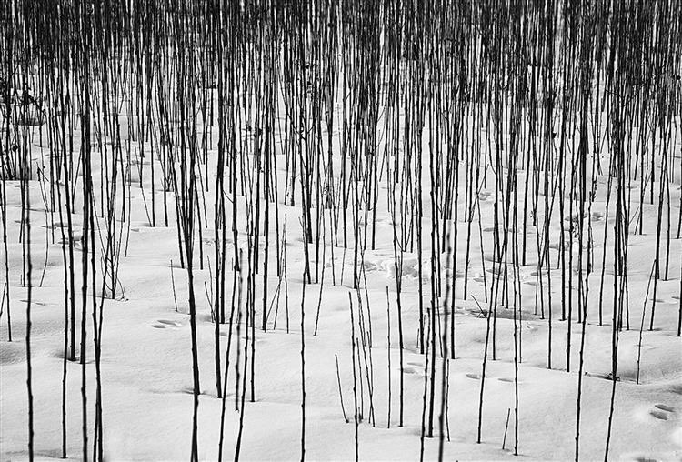 Happy birthday to my favorite filmmaker and photographer, Abbas Kiarostami.  