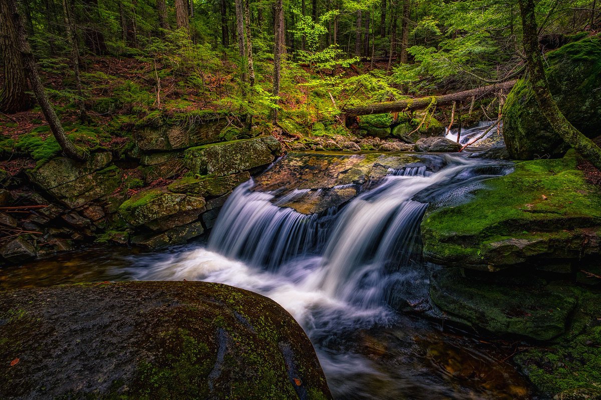 jeffsinon's tweet photo. If water falls in the woods, and nobody’s around to hear it… https://t.co/pZqq4IQLDy