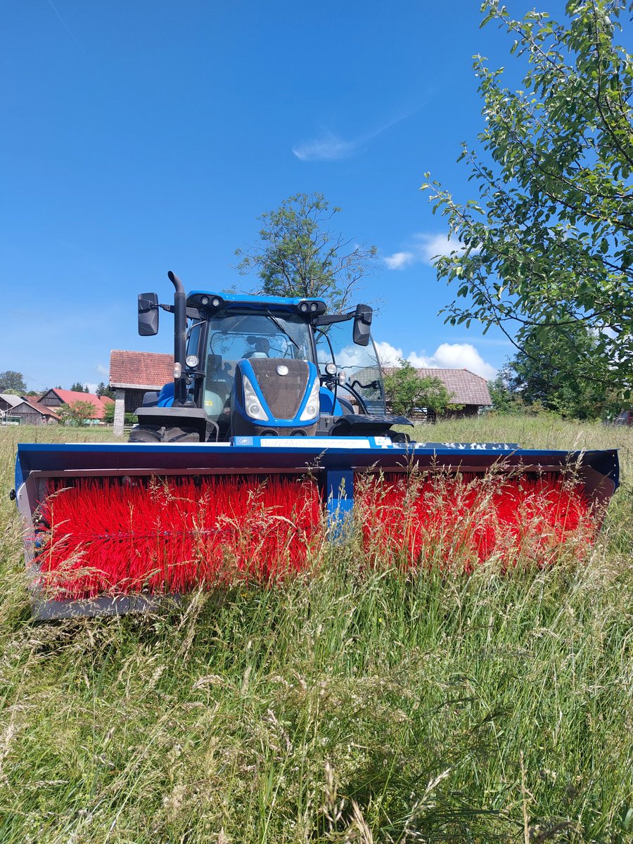 Renata Dacinger tweet media