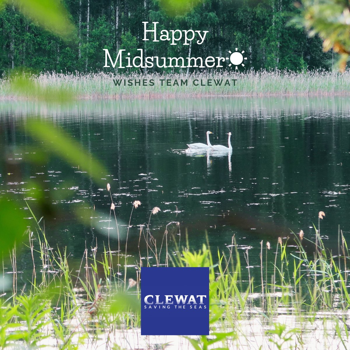 Clewat wishes Happy Midsummer 🌞 

Keep our waters clean 🌊

#savingtheseas #clewatco #midsummer #juhannus #finland
