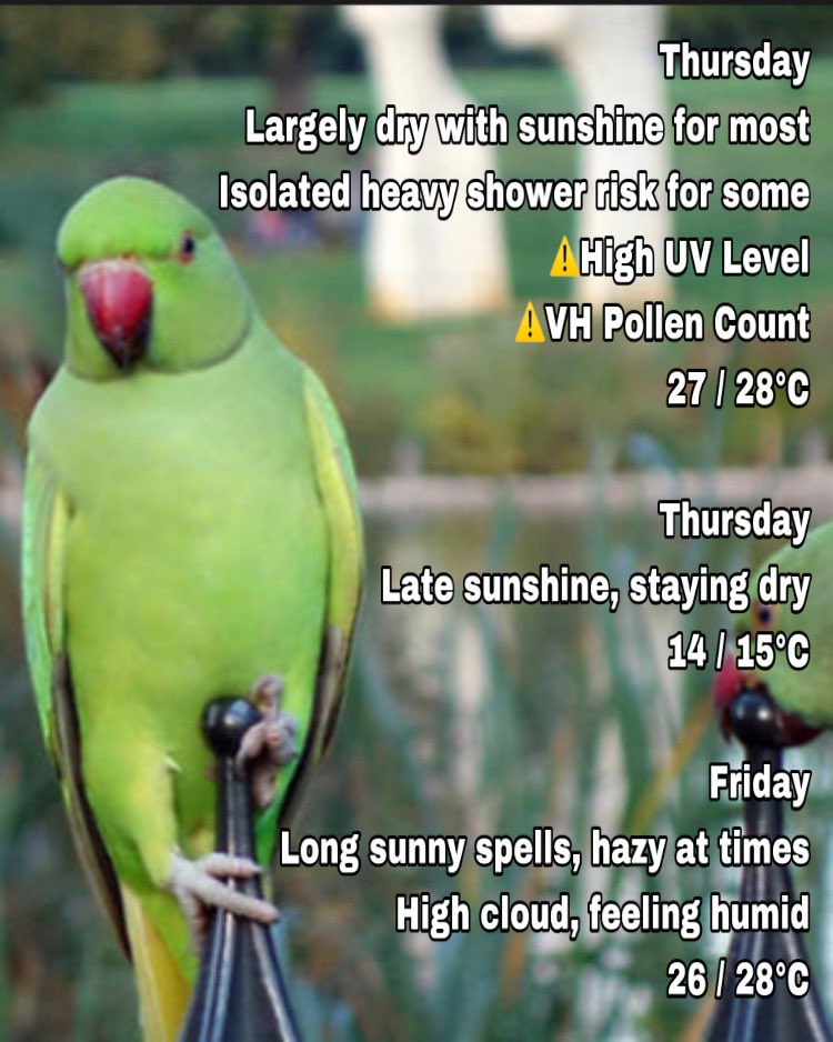 NevGWeatherGirl's tweet photo. Your Thursday London Weather Summary brought to you by #NevGsLondonWeatherSummary 🌞☔
Thank you for all your support, retweets and likes!
#CancerianSeason 🦀♋️
#ParakeetLife☀️🦜
#HappyThursday 😎☀️
@Navi4Real https://t.co/jQf38bWktF