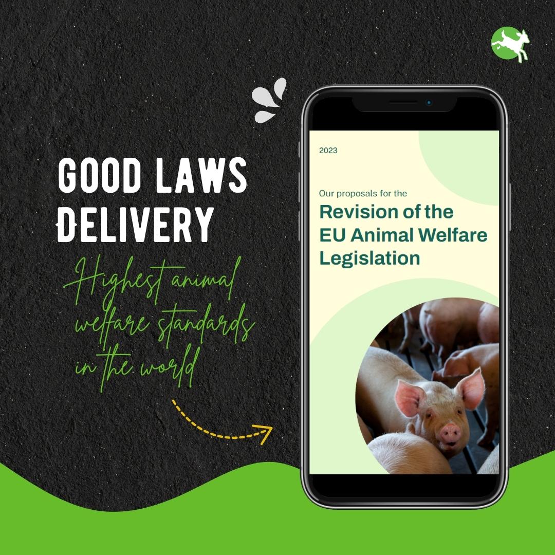 CIWF_EU's tweet photo. We call on the European Commission to be ambitious when overhauling the 🇪🇺 animal welfare laws.
The EU must give farmed animals a life worth living.
We call on the EU to ensure #GoodLawsDelivery!
Read more here 🫴 https://t.co/G7VY3Pt9ck https://t.co/nvC8zOvJGy