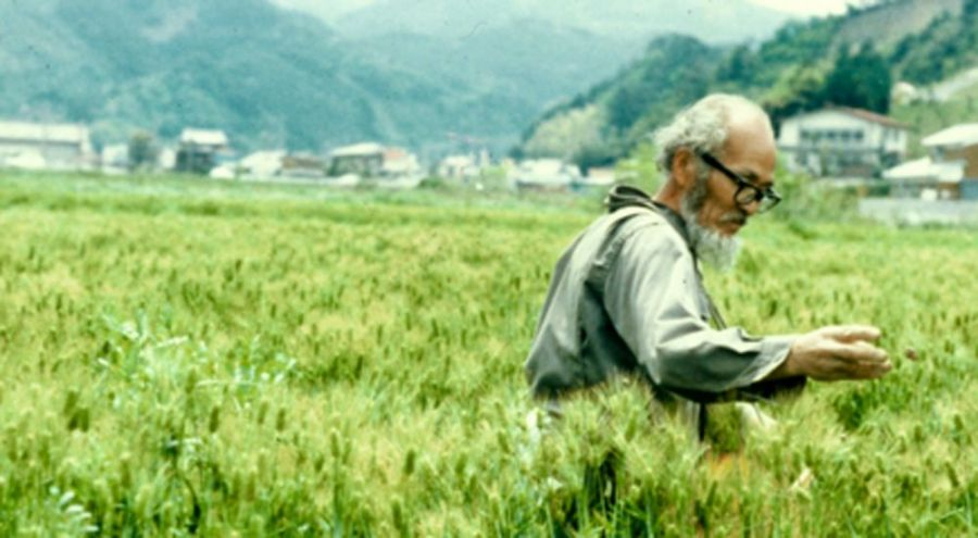 AssetTracePro's tweet photo. "C'est dans un désert américain, que je réalisais soudain que la pluie ne tombe pas des cieux, elle provient du sol. La formation des déserts n'est pas due à l'absence de pluie, mais la pluie cesse de tomber parce que la végétation a disparu". 
Masanobu Fukuoka - grand agronome https://t.co/vmfO5xjPZx