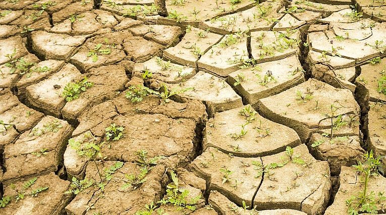 Open brief aan alle Brabanders: Elke druppel telt! Help jij mee? bit.ly/3NklGVh