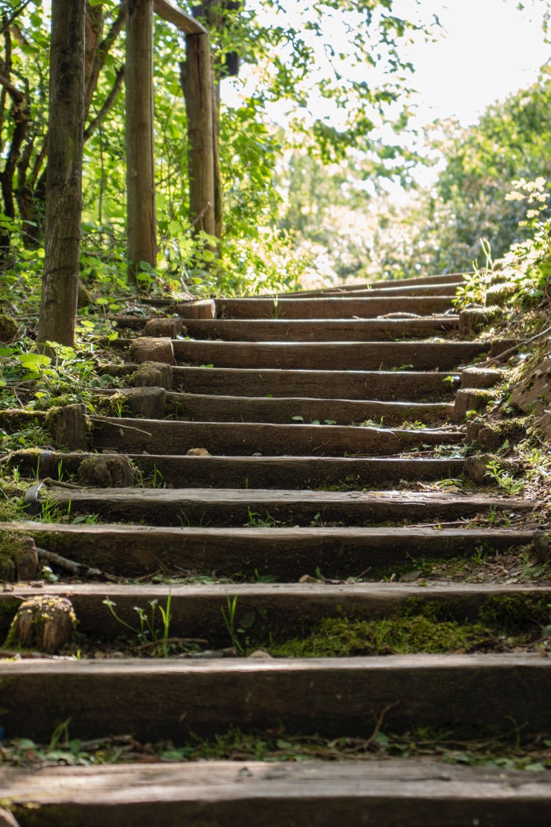 Ready to develop a digital strategy? Our latest blog explores learnings from the Developing your Digital Strategy Accelerator (with <a href="/okta/">Okta</a> <a href="/CharityDigiOrg/">Charity Digital</a>). We explore what 'ready' means from an organisational,team &amp; individual perspective.  Read more here: loom.ly/AKnZKy0