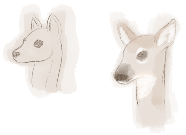 GraveCoal's tweet photo. A simple deer. Can you tell which one I used a reference for???? https://t.co/AZJGz36eSL
