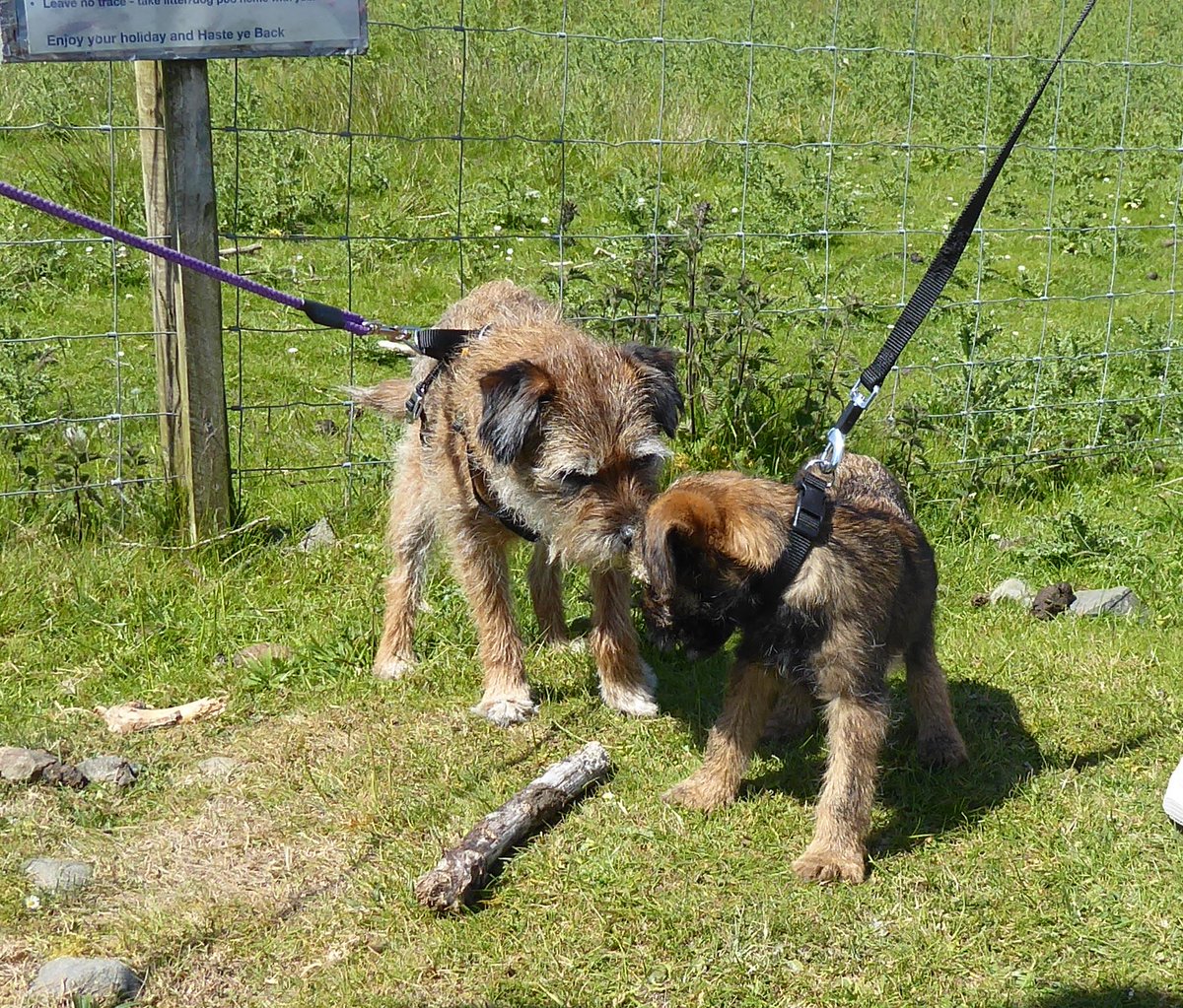 Katy Chaos 🌈 tweet media