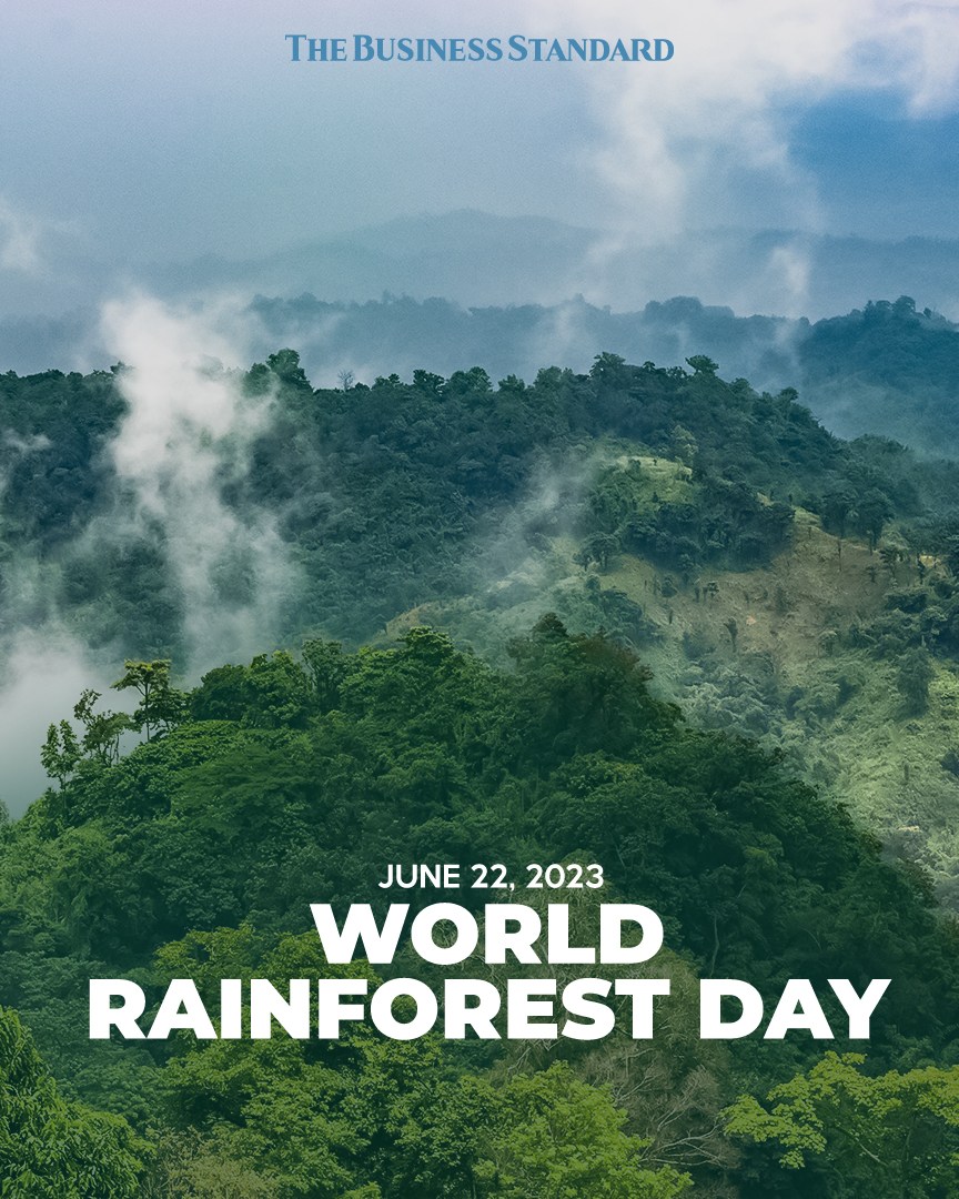 Happy World Rainforest Day 2023! 

⁠
#rainforest #WorldRainforestDay #rainforestday #worldrainforestday2023 #rainforestsconservation #protectourrainforests #greenplanet #rainforestdayawareness #TBSNews