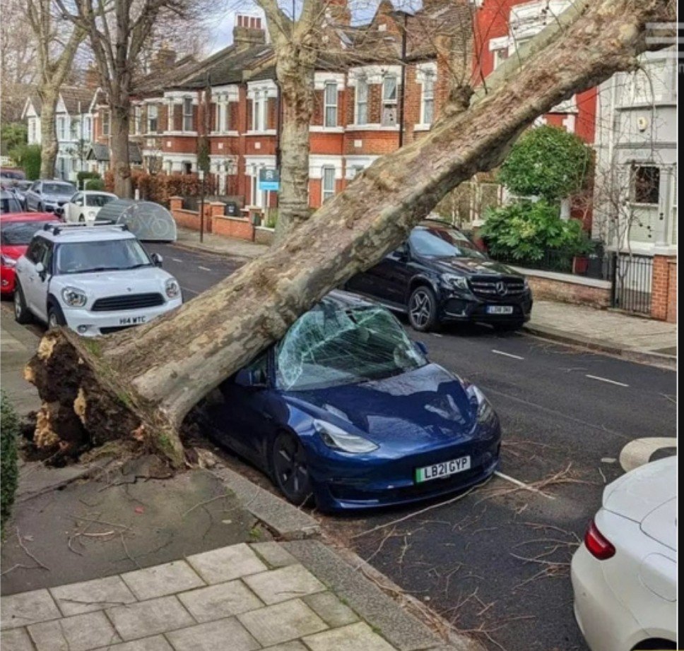 Ist es nicht verrückt?!
Ein Elektro-Auto,das gekauft wurde,um den Planeten zu retten,erschlagen von einem Baum.🤔