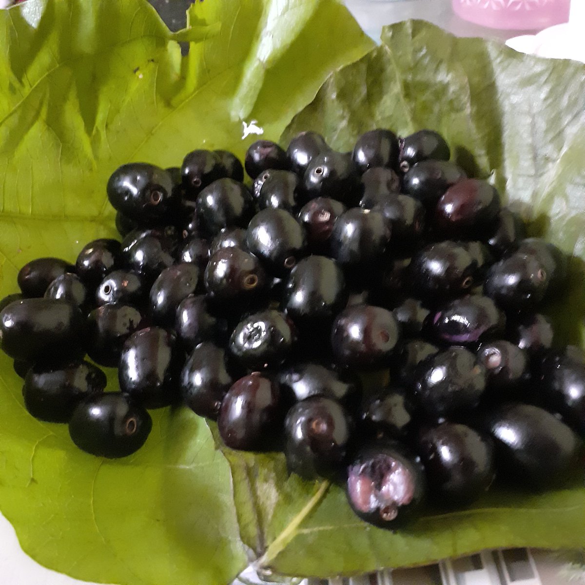 @artmy_yuki Are you okay now yuki??? Have some jamun