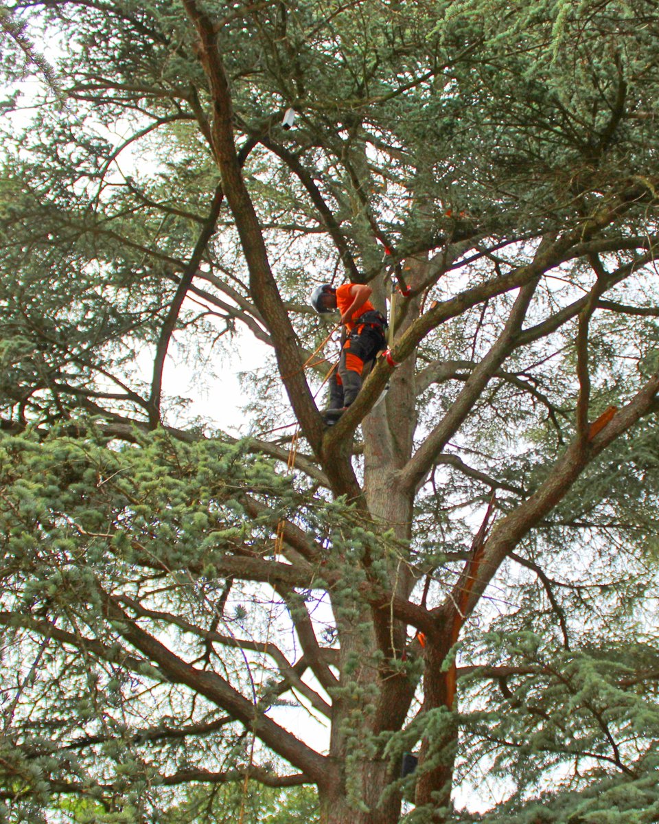 Over the weekend we held our first ever climbing competition!
So nice to see so many people turn up to participate, watch and support.
A big thank you to Exbury Gardens for letting us host it in the gardens, we really hope you'll have us back next year to do it again!