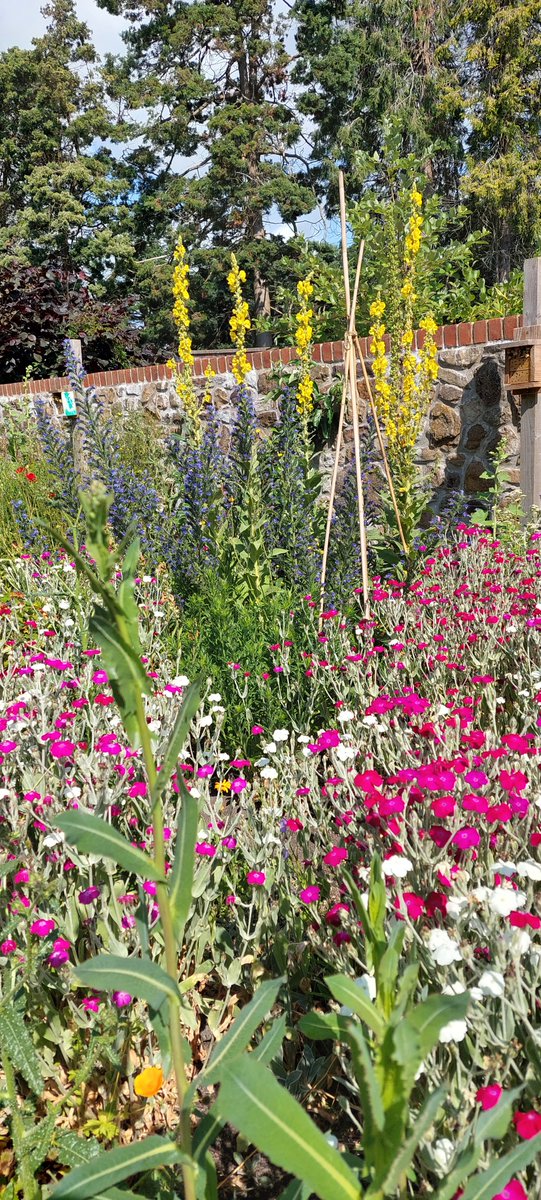 Duffryn Community Link tweet media