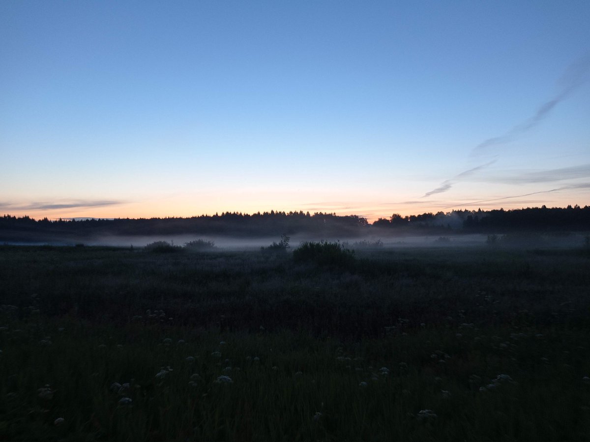 Марья tweet media