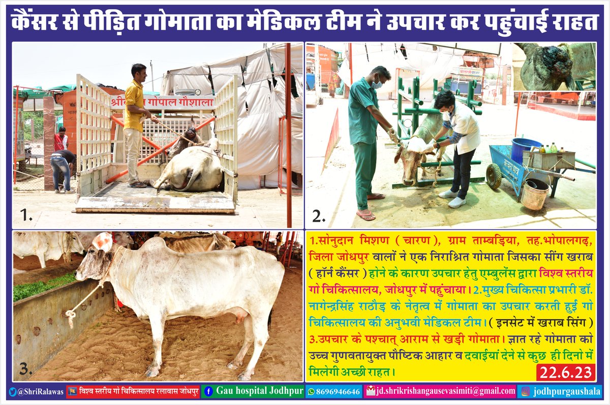 #hinduhardyasmarat #kushalgirijimaharaj #vishwastariyagauchikitsalaya #gochikitsalayajodhpur #vishvastariyagauchikitsalayajodhpur #cowhospital #medicalnews #shrikrishnagopalgauhospital #shrikrishnagausevasamiti #gausevamissiondonationforgausevac