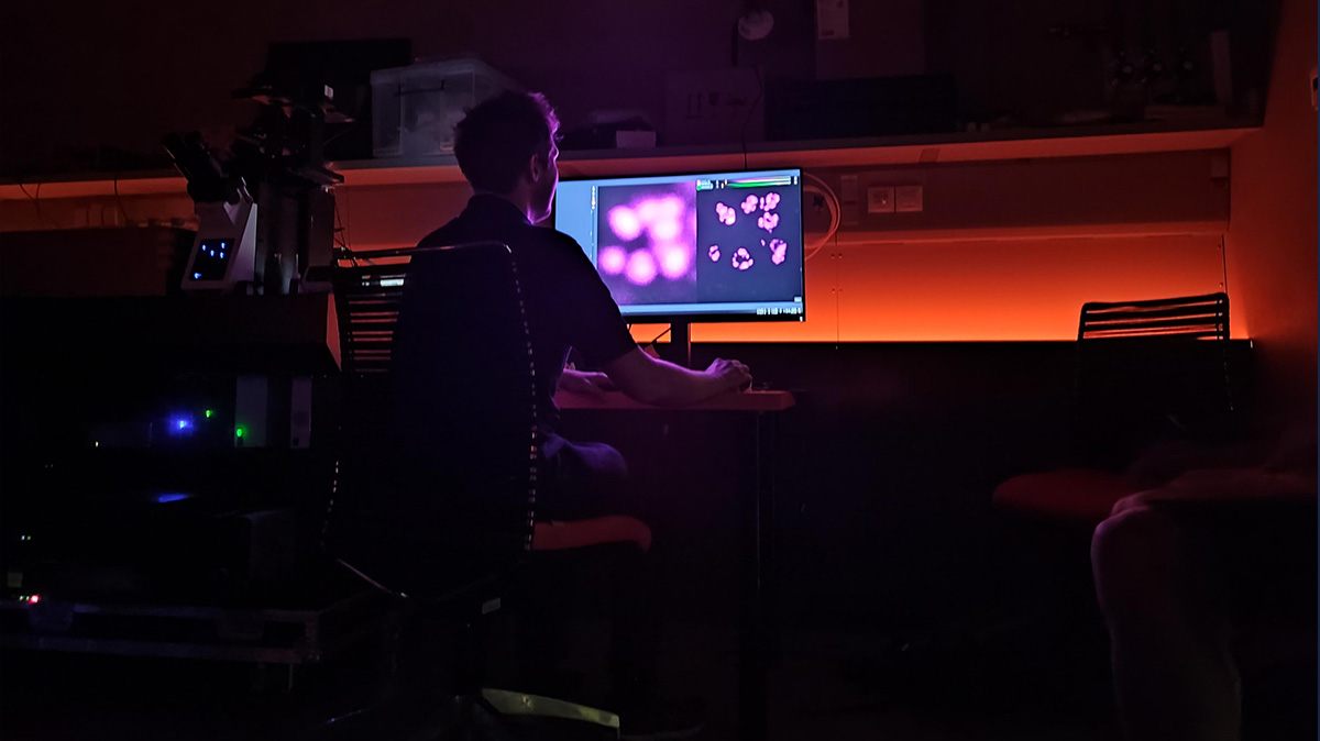 Abberior's tweet image. Ready, #STED, Go: Preparing our FACILITY LINE for the EMBO superresolution microscopy workshop in Prague. 
#abberior #EMBO #superresolutionmicroscopy #imaging #workshop #EMBOsuperResMicroscopy