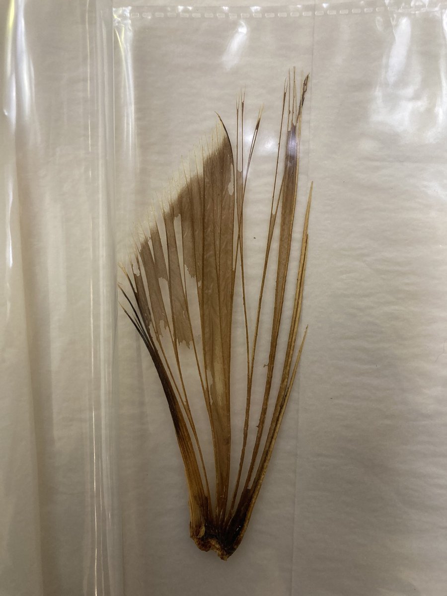 Vanessa Burns tweet media