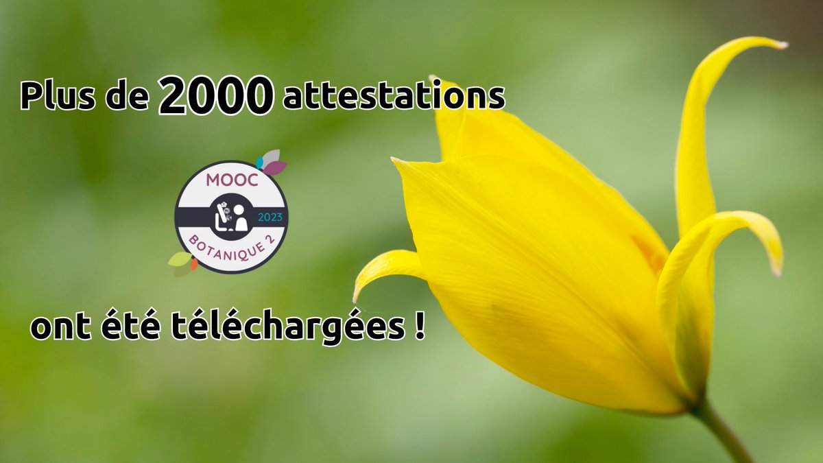 MOOC TelaFormation tweet media