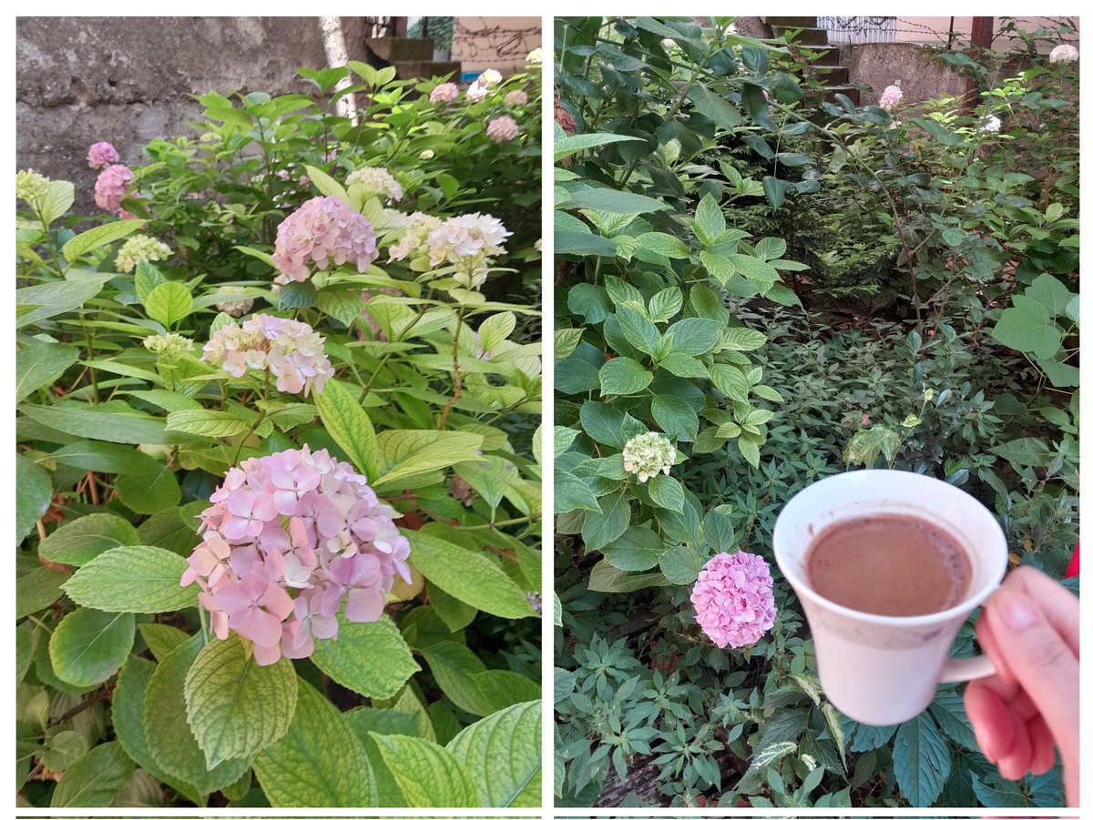 Çiçekler kadar renkli gün ışığı kadar ferah geçsin gününüz.
Mutlu günler🪻🌺🌹💞