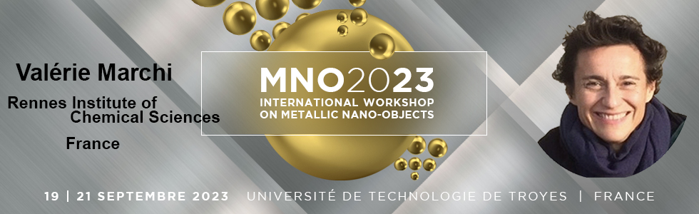 MNO20230919's tweet photo. Dr. 𝐕𝐚𝐥𝐞́𝐫𝐢𝐞 𝐌𝐚𝐫𝐜𝐡𝐢 from @chimie_ISCR is our next invited speaker! Dr. Marchi is an expert in the synthesis, surface chemistry and self-assembly of nanoparticles for optical and biomedical applications. Her talk will open the Sensors and Bioplasmonics section. https://t.co/dlZecl00Yv
