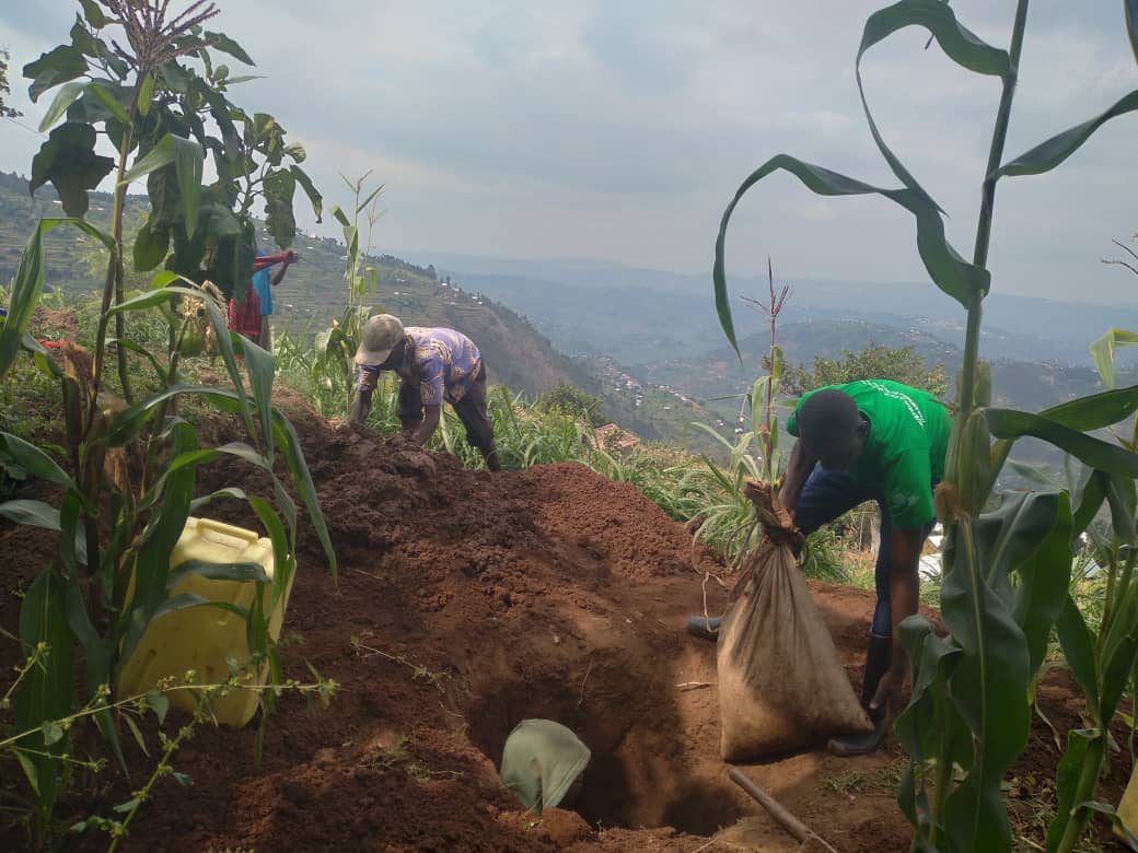 MiyoveN's tweet photo. Biri kuba! Muri ikigitondo urubyiruko rwa @MiyoveG kubufatanye n'ubuyobozi bw'umurenge bari gukora Umuganda mu kagali ka Mubuga wo kubakira umuturage  utishoboye Ubwiherero mu rwego rwo gukemura ibibazo bya HSSI.@NzabonimpaEmmy @RwandaNorth @MiniYouthRwanda https://t.co/uUENPEEgOW