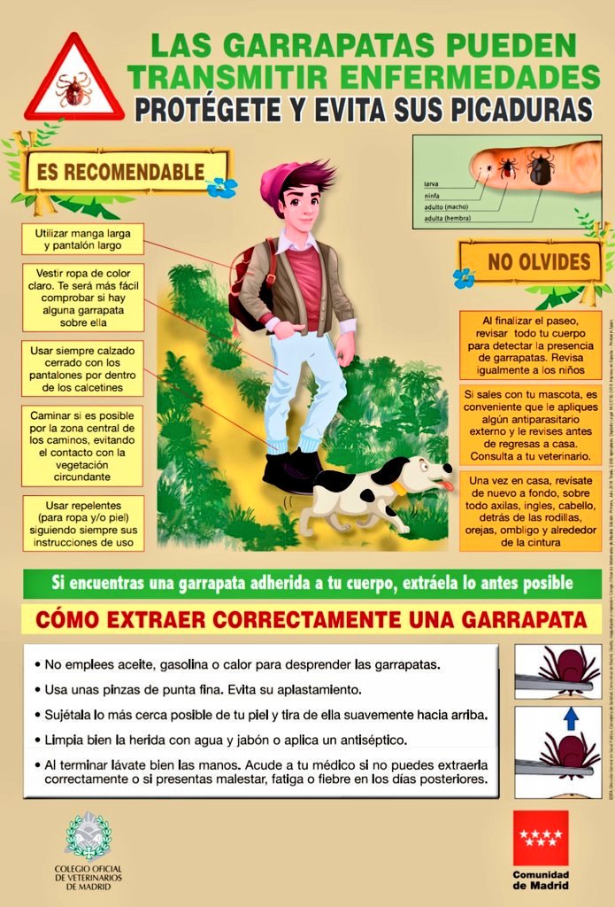 ℹ️

🕷️⚠️ Garrapatas⚠️🕷️

Si sales al campo 🎣🚴🏇🚶🐾🐕🏞🌳🌲, recuerda
👇
ℹ️⚠️ Recomendaciones sanitarias en relación con las Garrapatas
👇
📌comunidad.madrid/servicios/salu…

Disfruta de la naturaleza🌲🐿️🦌🦊 con precaución.

#AgentesForestalesCM 🚔
☎️112

vía <a href="/ComunidadMadrid/">Comunidad de Madrid</a>
