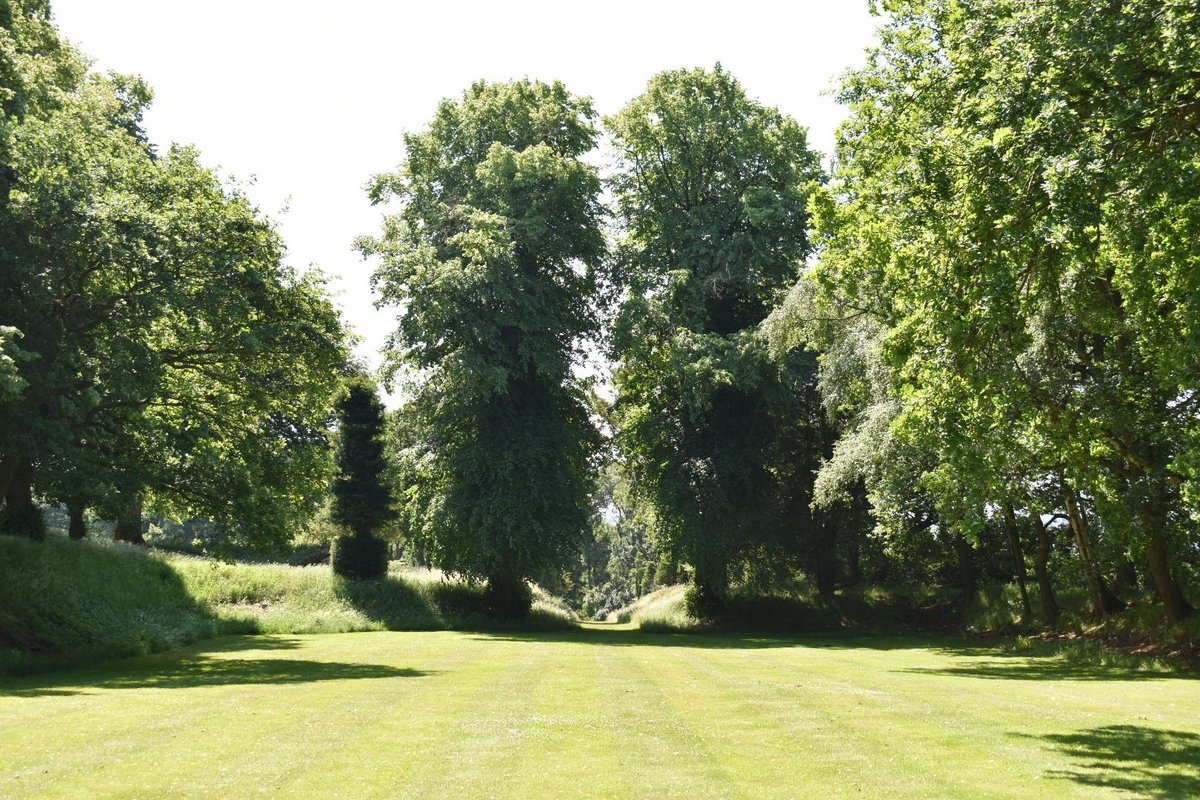 alison levey 🐝🌱🌺 tweet media