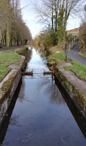 Did you know that our #volunteers put in over 13,000 hours pa collectively – even during the pandemic! If you have a passion for #canalrestoration, there's a role for everyone volunteering@sncanal.org.uk
# canals #Shropshire #Telford #Newport #Shrewsbury  #LifesBetterByWater