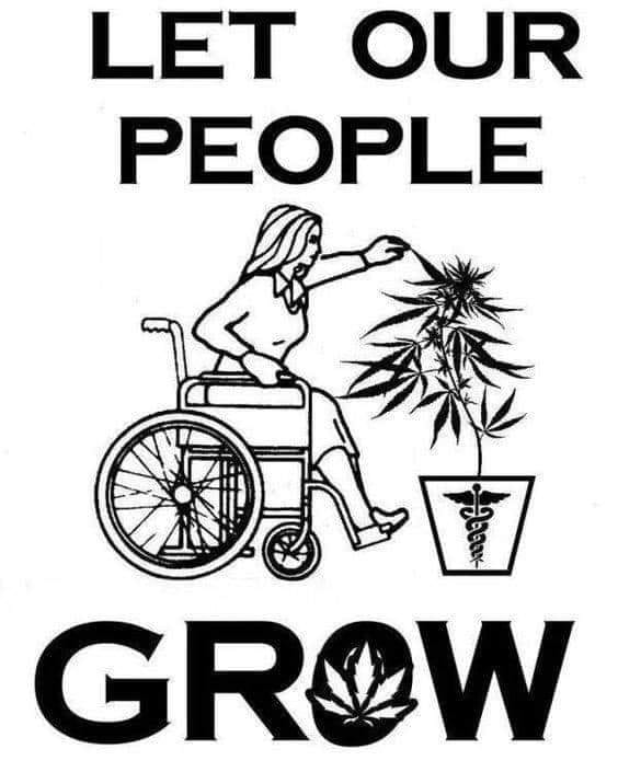 RDeevoy's tweet photo. Gardening is therapy (it’s actually prescribed). 

Cannabis is therapy (…it’s actually prescribed).

It’s time we allowed people to combine the two. https://t.co/uxXXCDyAYC