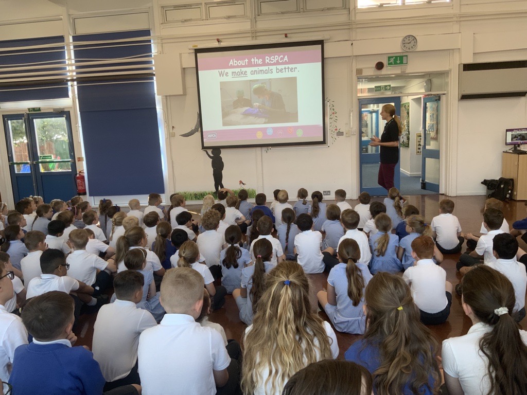 Wychbold First and Nursery School (@wychbolds) on Twitter photo This morning, Rachel from the <a href="/RSPCA_official/">RSPCA (England & Wales)</a> came to speak to us about how they help animals and keep them safe. We had lots of questions and loved hearing about their work. Thank you! This morning, Rachel from the <a href="/RSPCA_official/">RSPCA (England & Wales)</a> came to speak to us about how they help animals and keep them safe. We had lots of questions and loved hearing about their work. Thank you!