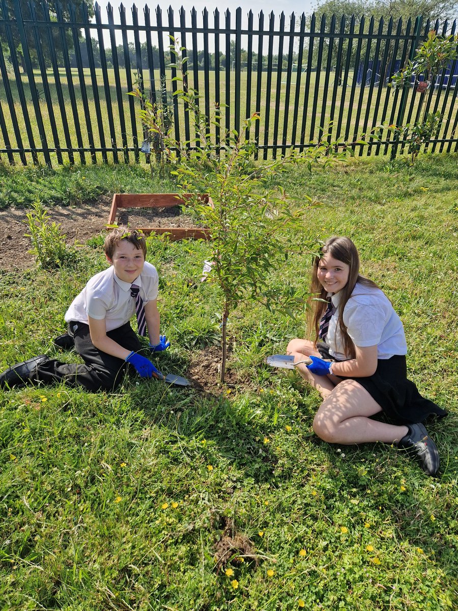 @SA_Food tweet media