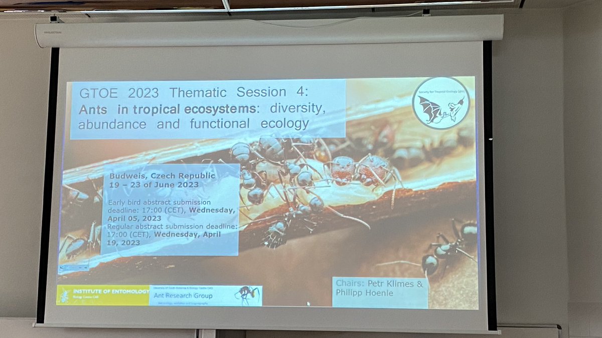 Get ready for the exciting ant session at the #tropical #ecology conference #gtoe23
